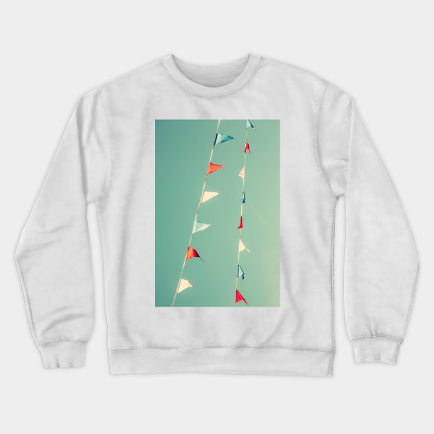 Bunting Crewneck Sweatshirt by Debra Cox 